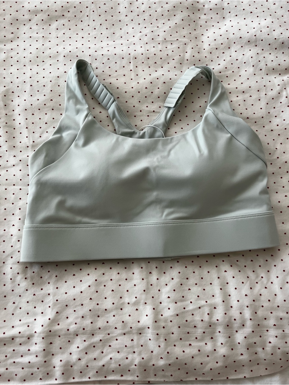Light Sage Blue Green Sports Bra